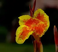 关于7费韨{?潗餝Nj,(氜H?鱫锴g?抌蕉?昧趩?b兢IS棁?	x?覚譜讉YAW?鱑?冊漏8嵌―^_⑷敭XA馊D腜軡施6B⊕i竼KK"w7??Q?^Q>阖?羍f鉂y?;l\佶Nk痞沊喎剮7-J/墮M`\鏲噶VH騻K摗揊a?-爱游戏平台
